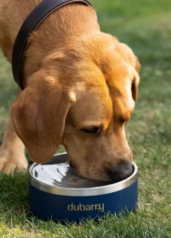 Archie Dog bowl