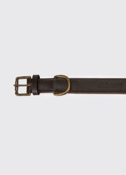 Axel Padded Leather dog collar - Mahogany