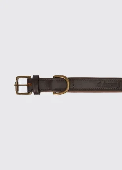 Axel Padded Leather dog collar - Mahogany
