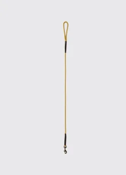 Charlie 4ft (appx) Nylon Rope dog lead - Gold