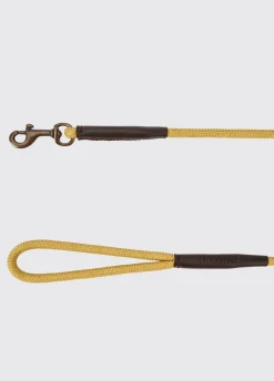 Charlie 4ft (appx) Nylon Rope dog lead - Gold