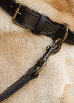 Ranger Leather clipped 4ft (appx) lead - Mahogany