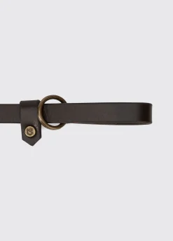 Riley 5ft Leather slip lead - Mahogany