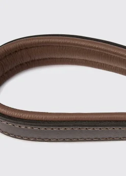 Riley 5ft Leather slip lead - Mahogany